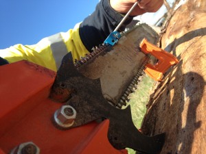 Chainsaw Training - How to Sharpen Chain